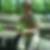 Photo de profil de Evelyne Blanquet