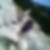 Photo de profil de Serge Dutay