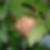 Photo de profil de Guillaume Emonot