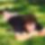 Photo de profil de Patrick Traymore