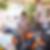 Photo de profil de Romain Fourcaud