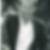 Photo de profil de Jean-François Basteau