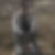 Photo de profil de Hussen Bir