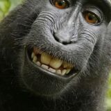 Photo de profil de Salem Ait Hammou