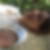 Photo de profil de Fanny Collon