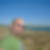 Photo de profil de David Chapelle