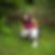 Photo de profil de Veronique Tay