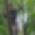 Photo de profil de Annick Vervisch