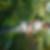 Photo de profil de Brice Houdou
