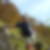 Photo de profil de Gourriet Rene