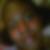 Photo de profil de Nicaise Selgy