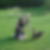 Photo de profil de Marjorie Guillemin