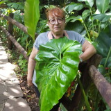 Photo de profil Odile Faure Photo de profil de Odile Faure