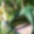 Photo de profil de Bouet Daniel
