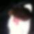 Photo de profil de Benoit Chen