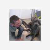 Photo de profil de Francois Piotrowski