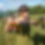 Photo de profil de Kimy Untz