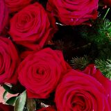 Photo de profil de Sylvie Capdevielle