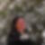Photo de profil de Muriel Amailland