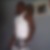 Photo de profil de Ephrem_noel Moufoughou Ndida