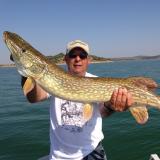 Photo de profil de Bruno Doucet