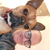 Photo de profil Pascal Breton Photo de profil de Pascal Breton