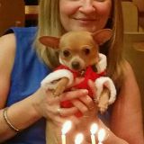 Photo de profil de Sandrine Lemarie