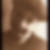 Photo de profil de Vincent Buffet
