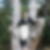 Photo de profil de Eline Castel