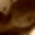 Photo de profil de Amy Whittaker