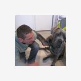 Photo de profil de Francois Piotrowski