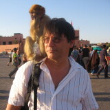 Photo de profil de Pascal Lemitre