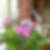 Photo de profil Françoise Martel Photo de profil de Françoise Martel