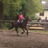 Photo de profil de Lola Rousselle