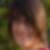 Photo de profil de Morgane Lombardi