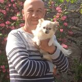 Photo de profil de Pascal Blondelle