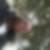 Photo de profil de Ibrahima Ba