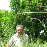 Photo de profil de Gerald Levy