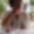 Photo de profil de Michelle Julien