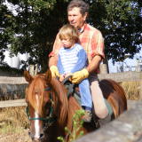 Photo de profil de Dominique Merlin