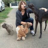 Photo de profil de Danielle Faure Belaygue