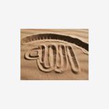 Photo de profil de Samir Cherdoud