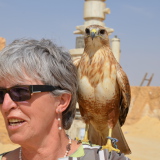 Photo de profil de Françoise Crumière