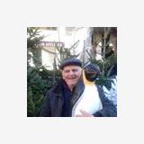 Photo de profil de André Gitton