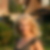 Photo de profil de Concetta Costanzo