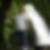 Photo de profil de Bernard Corbery