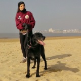 Photo de profil de Françoise Texier