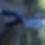 Photo de profil de Piler Stephane
