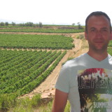 Photo de profil Pascal Morin Photo de profil de Pascal Morin