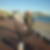 Photo de profil de Raymond Mongin